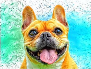 DOGS - French Bulldog Happiness by Alan Foxx - PoP x HoyPoloi Gallery